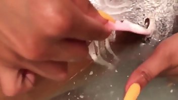 XXXSarah Lace Shaving bush | ManyVids Free Porn Videos
