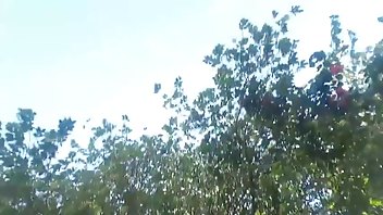 misssweetteen cum play outdoor ManyVids Free Porn Videos