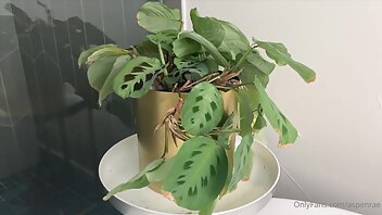 Aspenrae I Can T Believe I Made This xxx onlyfans porn video