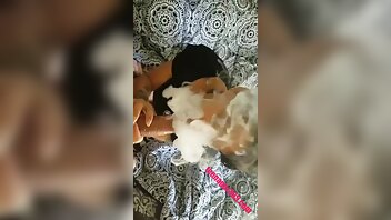 honey gold pov bj nude onlyfans video 2020/10/18