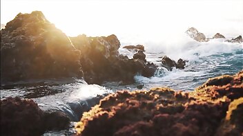 hiitwithpaloma flashback friday or should i call it fri yay i am honored to be a part of yogawithtaz xxx onlyfans porn videos