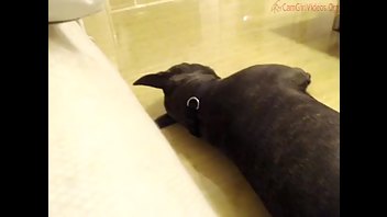 CrazyM_ MissKreazy MFC CrazySySy